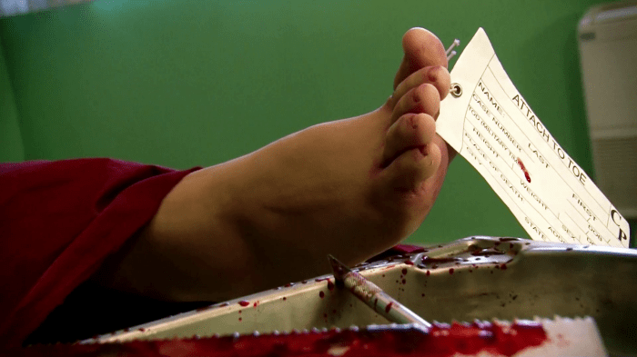 I.P.M websérie - Matthieu Morandeau